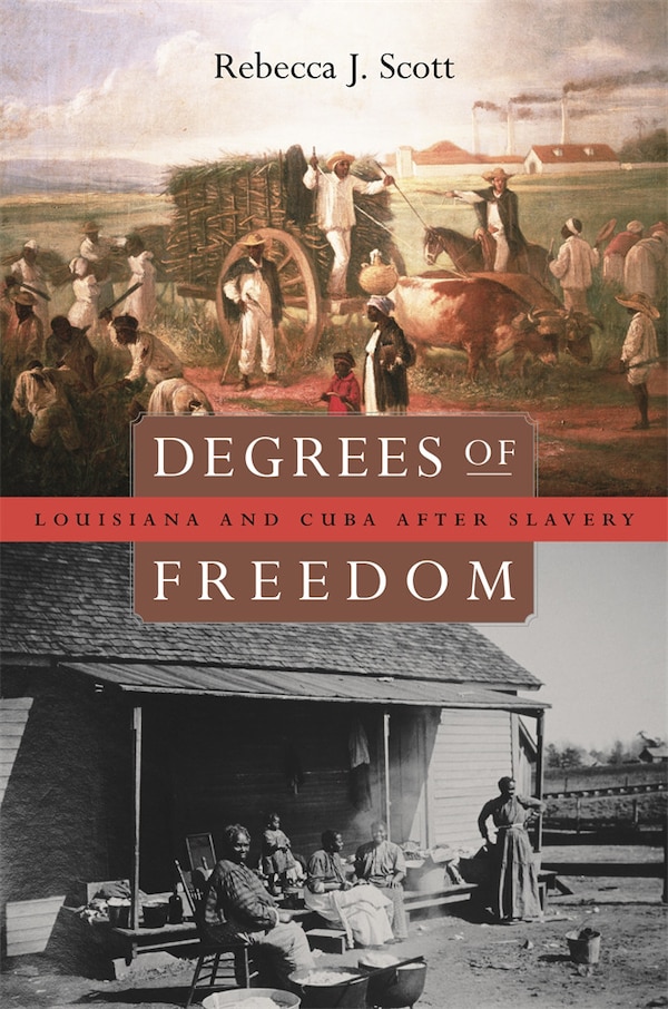 Degrees of Freedom by Rebecca J. Scott, Paperback | Indigo Chapters