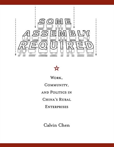Some Assembly Required by Calvin Chen, Hardcover | Indigo Chapters