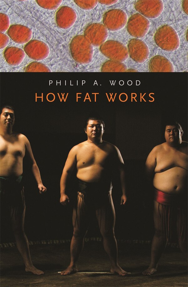 How Fat Works by Philip A. Wood, Paperback | Indigo Chapters