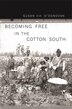 Becoming Free in the Cotton South by Susan Eva O'Donovan, Paperback | Indigo Chapters