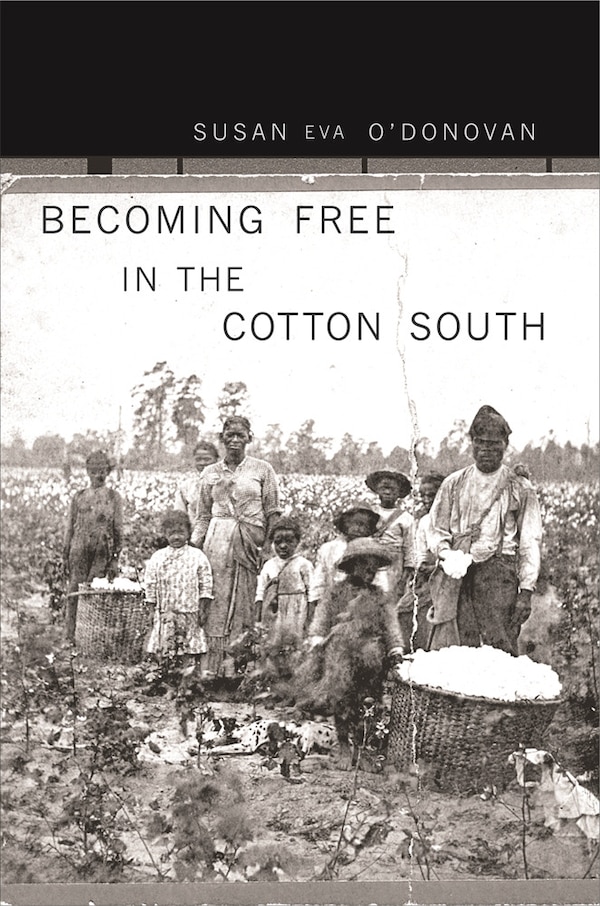 Becoming Free in the Cotton South by Susan Eva O'Donovan, Paperback | Indigo Chapters