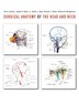 Surgical Anatomy of the Head and Neck by Parviz Janfaza D., Hardcover | Indigo Chapters