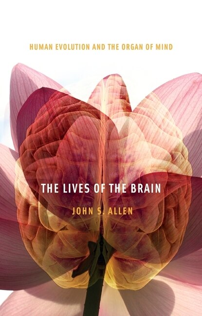 The Lives of the Brain by John S. Allen, Paperback | Indigo Chapters