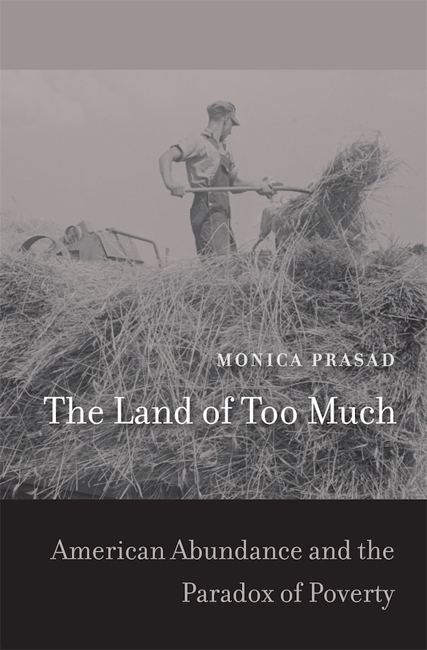 Land of Too Much by Monica Prasad, Hardcover | Indigo Chapters