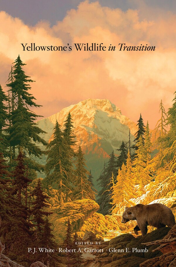 Yellowstone's Wildlife in Transition by P. J. White, Hardcover | Indigo Chapters