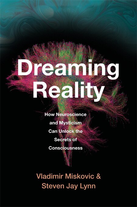 Dreaming Reality by Vladimir Miskovic, Hardcover | Indigo Chapters