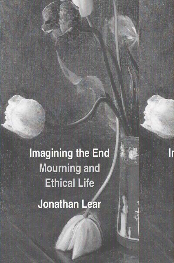 Imagining The End by Jonathan Lear, Hardcover | Indigo Chapters