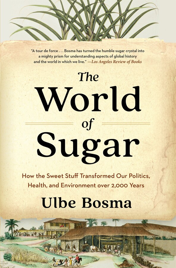 World of Sugar by Ulbe Bosma, Paperback | Indigo Chapters