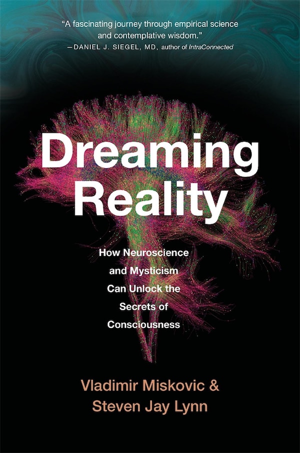 Dreaming Reality by Vladimir Miskovic, Paperback | Indigo Chapters
