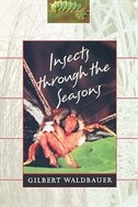 Insects through the Seasons by Gilbert Waldbauer, Paperback | Indigo Chapters