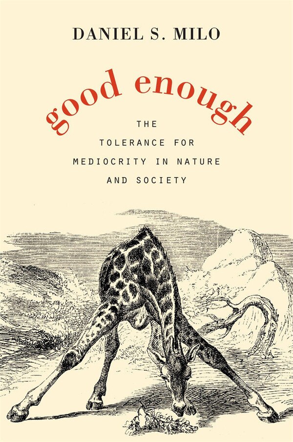 Good Enough by Daniel S. Milo, Hardcover | Indigo Chapters