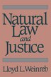 Natural Law and Justice by Lloyd Weinreb, Paperback | Indigo Chapters
