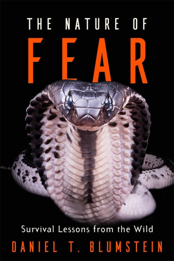 Nature of Fear by Daniel T. Blumstein, Hardcover | Indigo Chapters