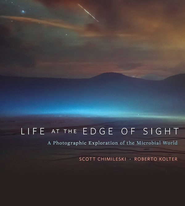 Life At The Edge Of Sight by Scott Chimileski, Hardcover | Indigo Chapters