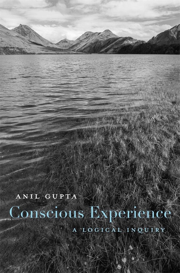 Conscious Experience by Anil Gupta, Hardcover | Indigo Chapters