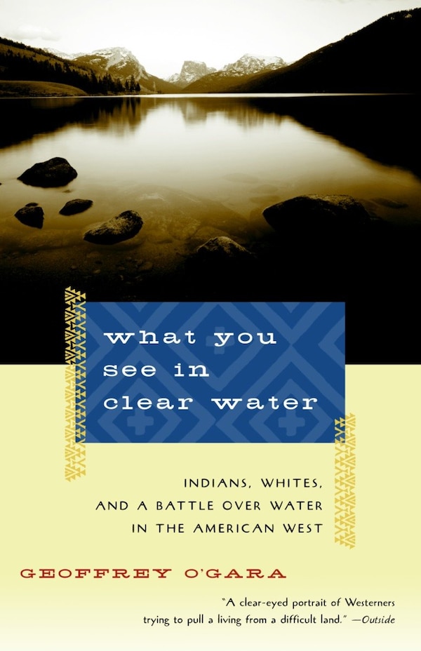 What You See in Clear Water by Geoffrey O'Gara, Paperback | Indigo Chapters