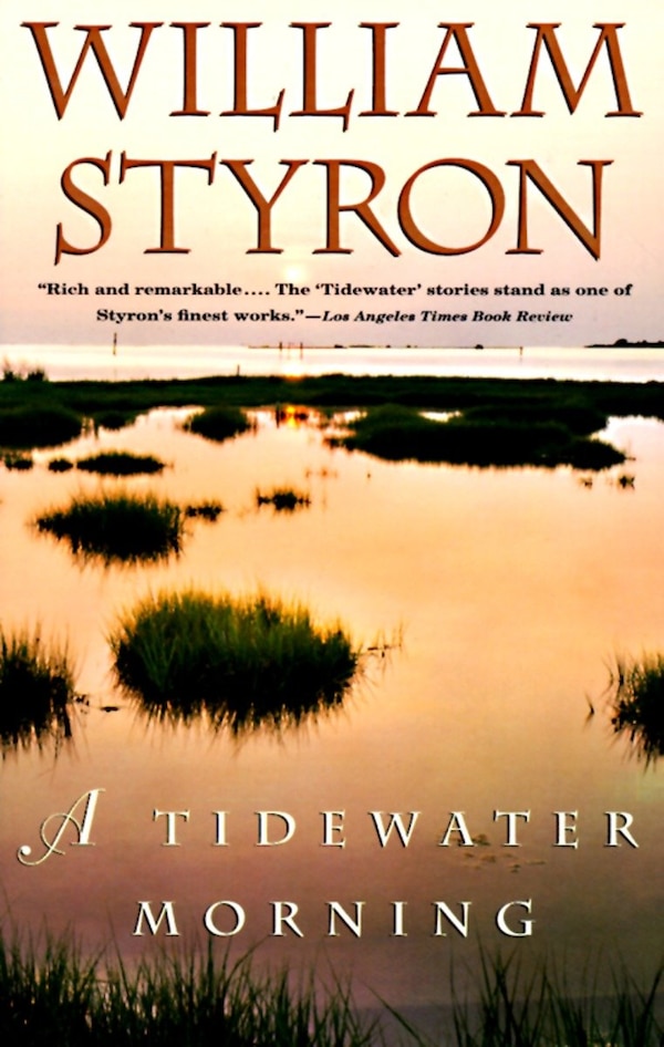 A Tidewater Morning by WILLIAM STYRON, Paperback | Indigo Chapters
