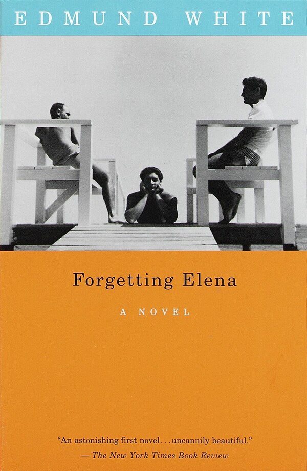 Forgetting Elena by Edmund White, Paperback | Indigo Chapters