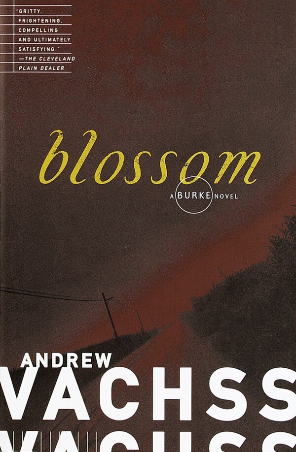 Blossom by Andrew Vachss, Paperback | Indigo Chapters