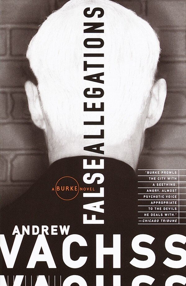 False Allegations by Andrew Vachss, Paperback | Indigo Chapters