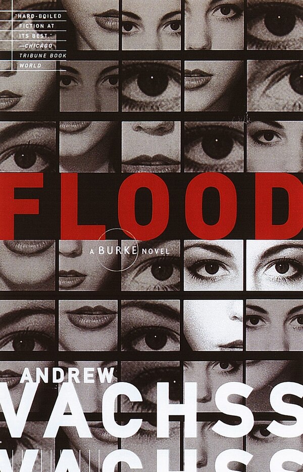Flood by Andrew Vachss, Paperback | Indigo Chapters