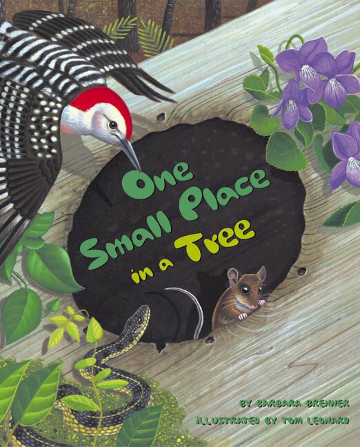 One Small Place in a Tree by Barbara Brenner, Hardcover | Indigo Chapters