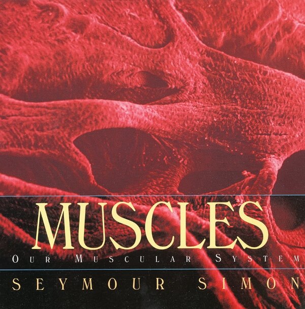 Muscles by Seymour Simon, Paperback | Indigo Chapters