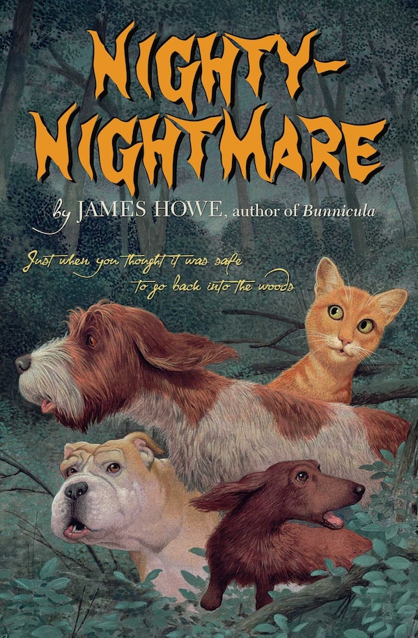 Nighty-Nightmare by James Howe, Hardcover | Indigo Chapters