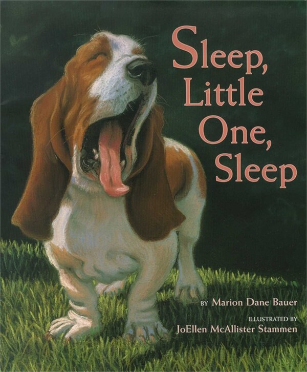 Sleep Little One Sleep by Marion Dane Bauer, Picture Books | Indigo Chapters