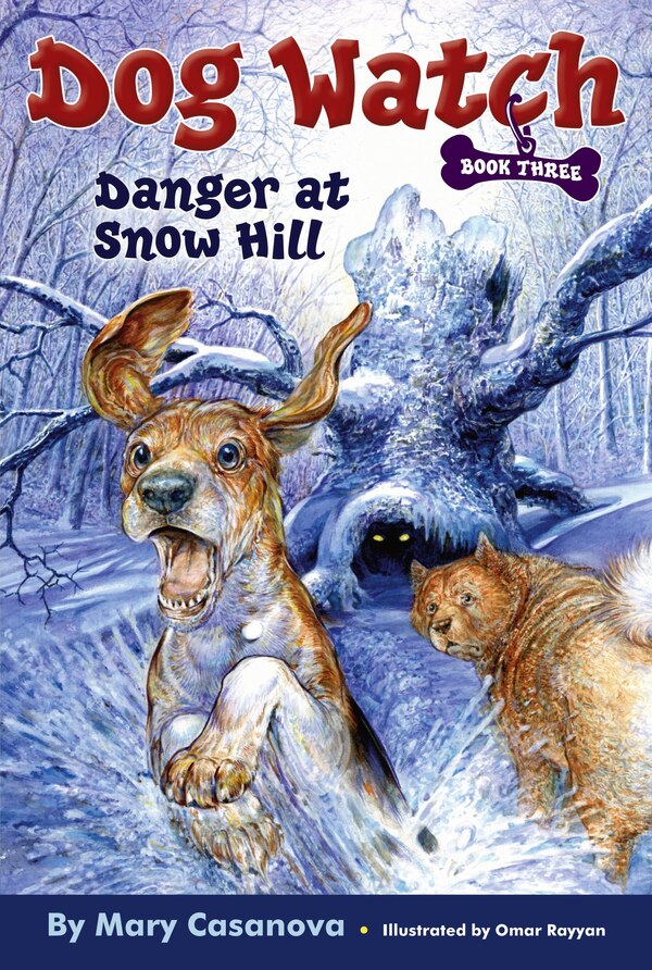 Danger at Snow Hill by Mary Casanova, Paperback | Indigo Chapters