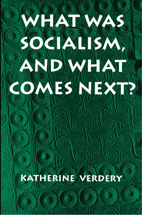What Was Socialism and What Comes Next? by Katherine Verdery, Paperback | Indigo Chapters