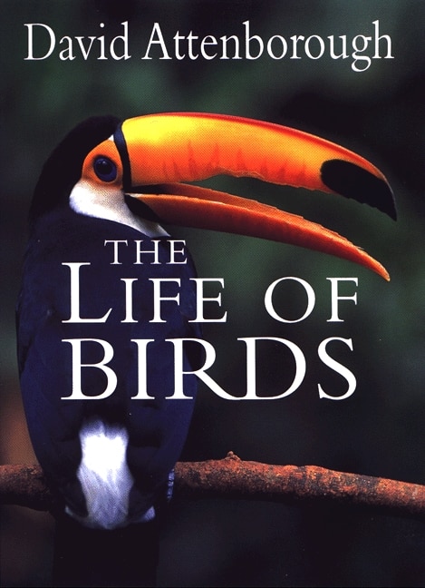 LIFE OF BIRDS by David Attenborough, Hardcover | Indigo Chapters