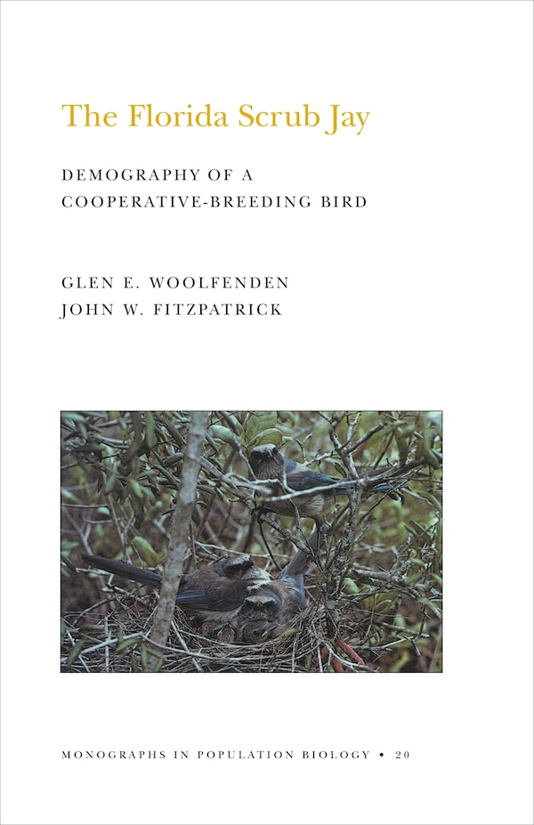 The Florida Scrub Jay by Glen Everett Woolfenden, Paperback | Indigo Chapters
