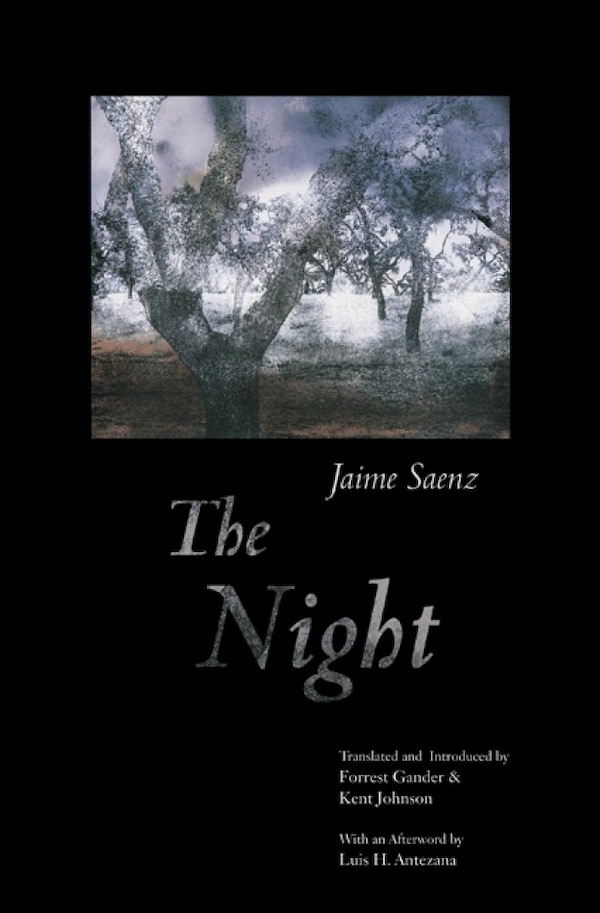 The Night by Jaime Saenz, Hardcover | Indigo Chapters