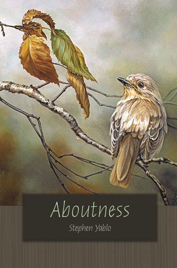 Aboutness by Stephen Yablo, Hardcover | Indigo Chapters