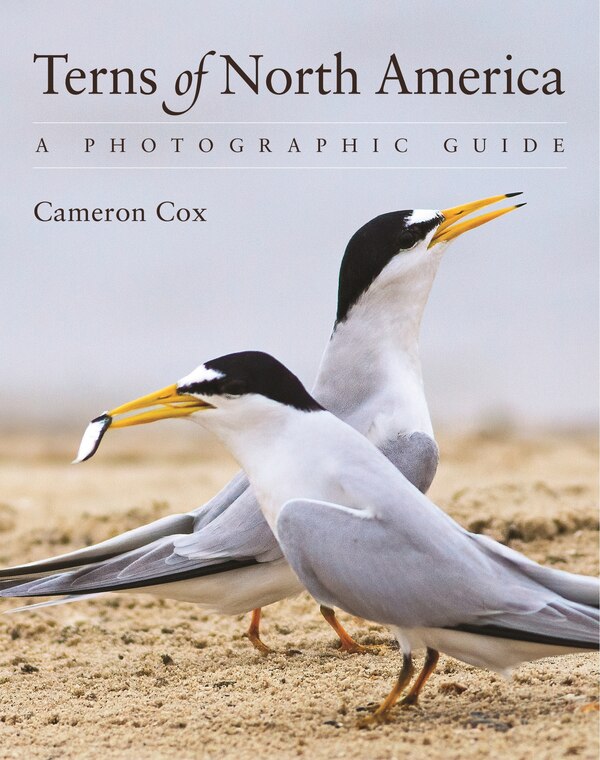 Terns of North America by Cameron Cox, Paperback | Indigo Chapters