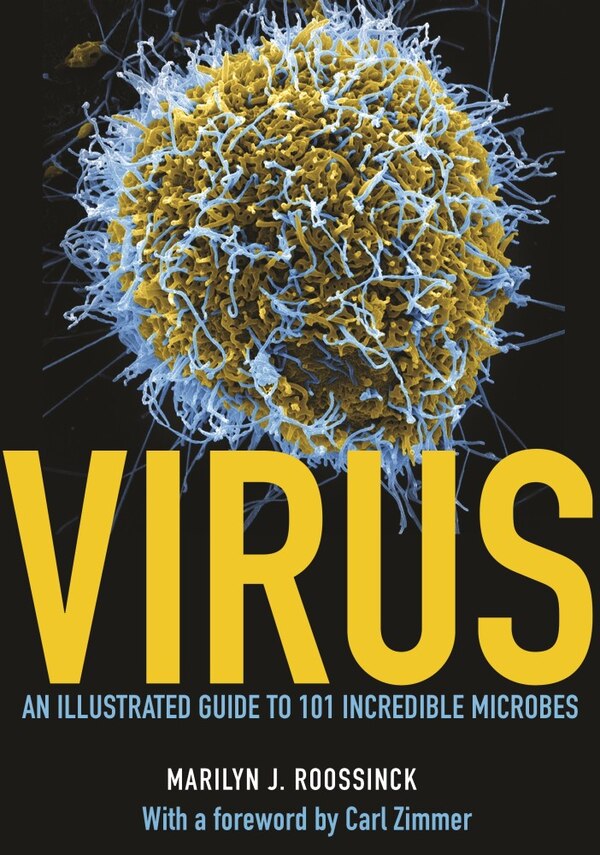 Virus by Marilyn J. Roossinck, Hardcover | Indigo Chapters