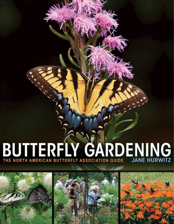 Butterfly Gardening by Jane Hurwitz, Paperback | Indigo Chapters