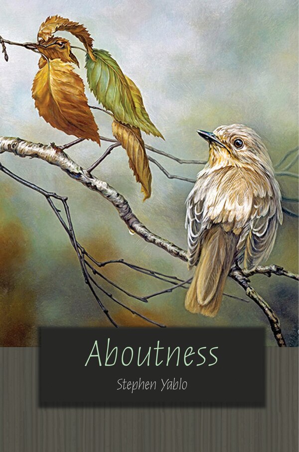 Aboutness by Stephen Yablo, Paperback | Indigo Chapters