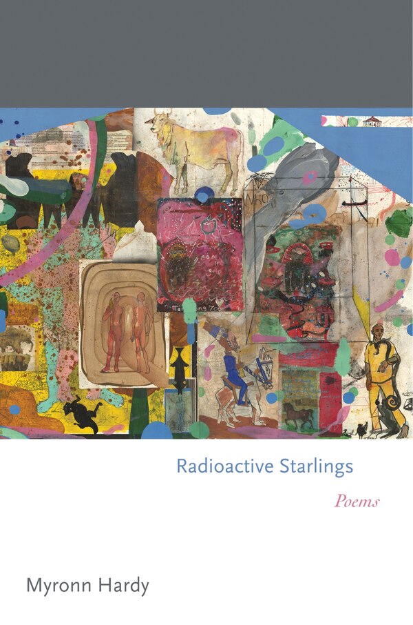 Radioactive Starlings by Myronn Hardy, Paperback | Indigo Chapters