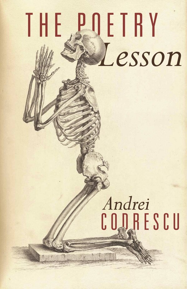 The Poetry Lesson by Andrei Codrescu, Paperback | Indigo Chapters