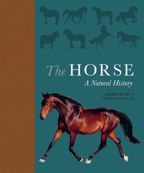 The Horse by Debbie Busby, Hardcover | Indigo Chapters