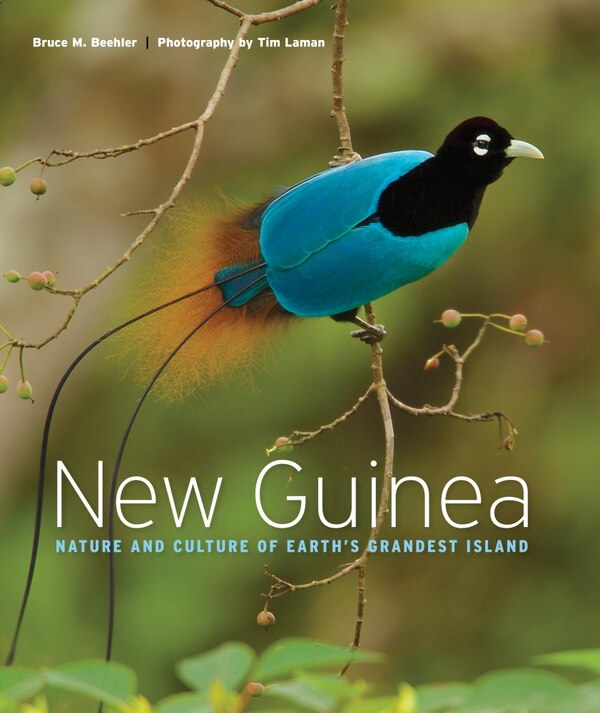 New Guinea by Bruce M. Beehler, Hardcover | Indigo Chapters