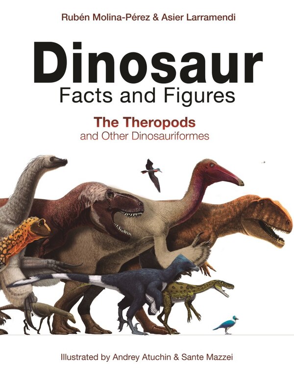 Dinosaur Facts And Figures by Rubén Molina-pérez, Hardcover | Indigo Chapters