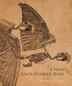 A New Unfeathered Bird by Katrina van Grouw, Hardcover | Indigo Chapters