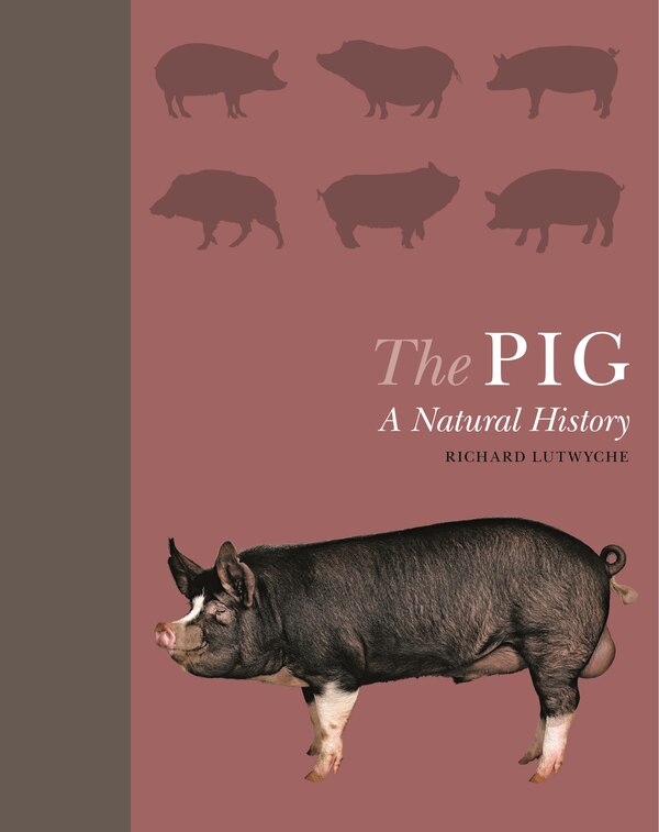 The Pig by Richard Lutwyche, Hardcover | Indigo Chapters