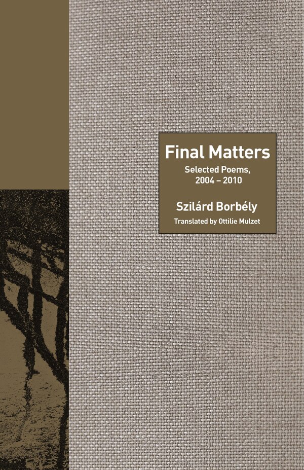 Final Matters by Szilárd Borbély, Hardcover | Indigo Chapters