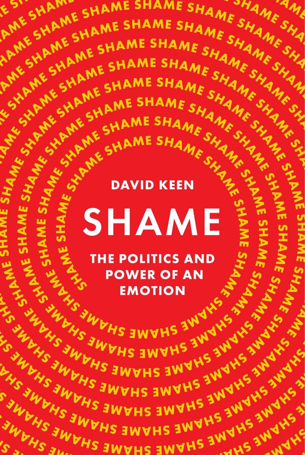 Shame by David Keen, Hardcover | Indigo Chapters