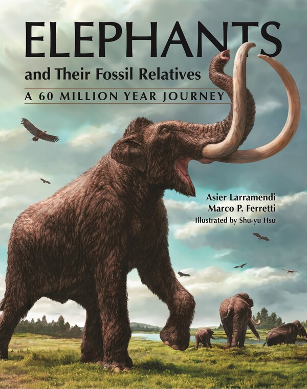 Elephants and Their Fossil Relatives by Asier Larramendi, Hardcover | Indigo Chapters