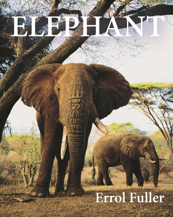 Elephant by Errol Fuller, Hardcover | Indigo Chapters